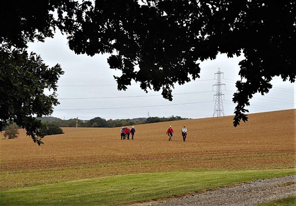 Crossing a field